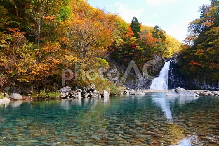 法体の滝の紅葉 法体の滝,滝,秋の写真素材