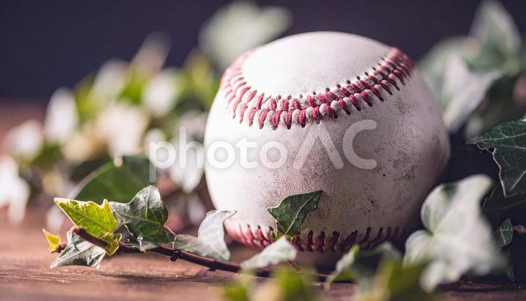 野球イメージ　机の上の野球ボール 野球ボール,アイビー,敗北の写真素材