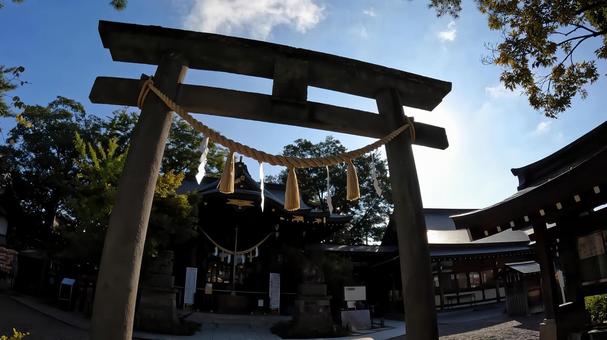 埼玉県行田市行田　 行田八幡神社　鳥居 埼玉,行田市行田,行田八幡神社の写真素材