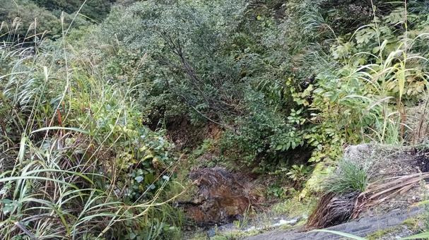 早朝の枝折峠 枝折峠,山,早朝の写真素材