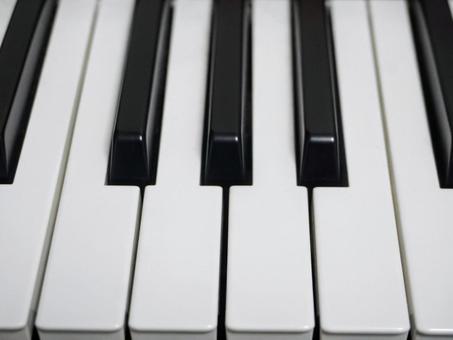 ピアノ 鍵盤 楽器素材 ピアノ 鍵盤 楽器素材の写真