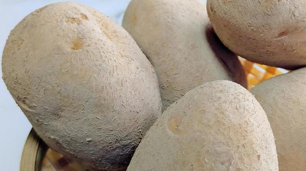 じゃがいも-26 じゃがいも,野菜,芋の写真素材