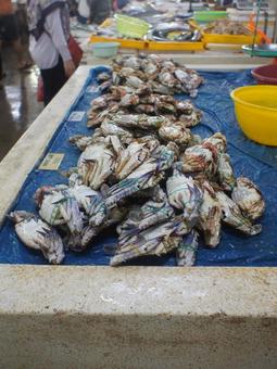 market, JPG