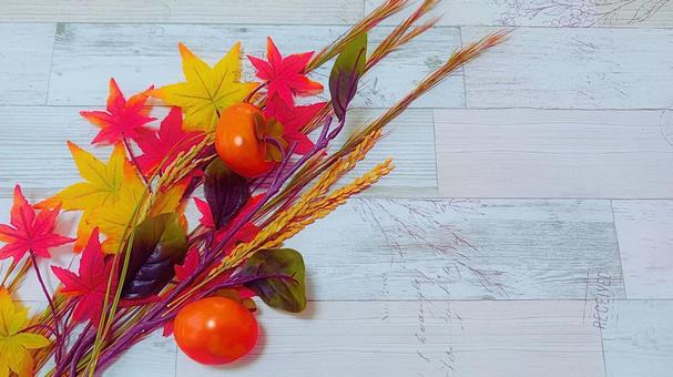 秋 イメージ2 秋 イメージ2 秋,10月,11月の写真素材