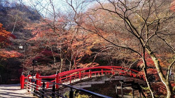 河鹿橋 河鹿橋 河鹿橋,伊香保温泉,伊香保の写真素材