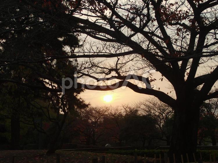 夕暮れ 自然,空,風景の写真素材