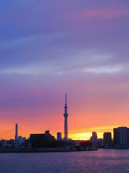 夕焼けスカイツリーが映える中川 夕焼けスカイツリーが映える中川の写真