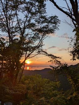 雑木林からのぞく夕焼け 雑木林からのぞく夕焼け 夕焼け,雑木林,海の写真素材
