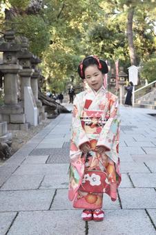 七五三の女の子 2 七五三の女の子 2 七五三,着物,7歳の写真素材