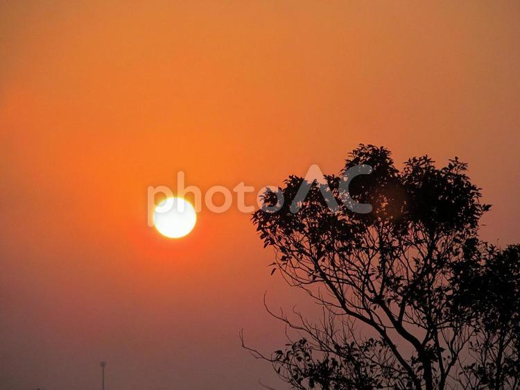 日の出の風景 太陽,朝焼け,朝空の写真素材