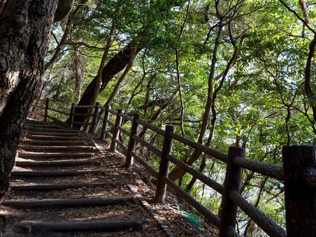 元宇品公園 元宇品公園 元宇品公園,山,ハイキングの写真素材