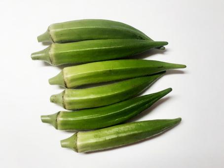 オクラ コピースペースあり オクラ コピースペースあり オクラ,おくら,野菜の写真素材
