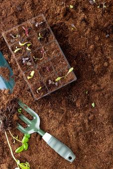 育苗トレイとガーデニング用品 育苗トレイ,スコップ,ガーデンフォークの写真素材