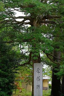 パワースポット 滋賀県 蜊江神社㉛遥拝所 パワースポット 滋賀県 蜊江神社㉛遥拝所の写真