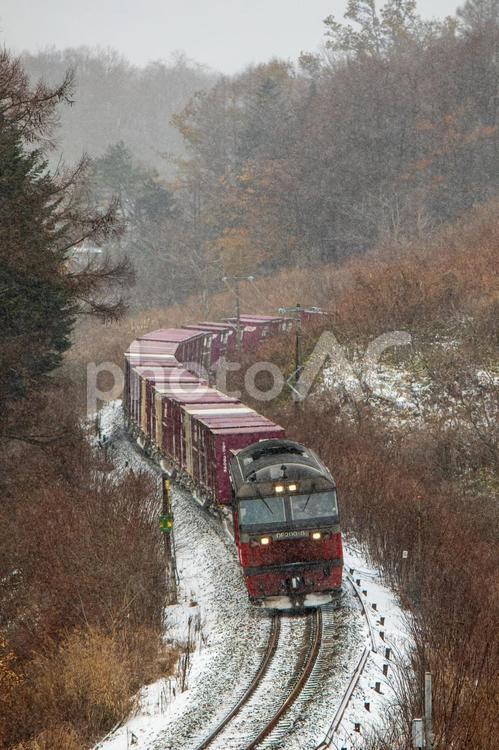 冬の貨物列車 鉄道,列車,冬の写真素材