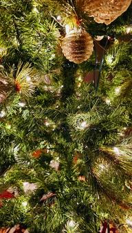 クリスマスの飾り付け クリスマスの飾り付け クリスマスツリー,クリスマス,冬の写真素材