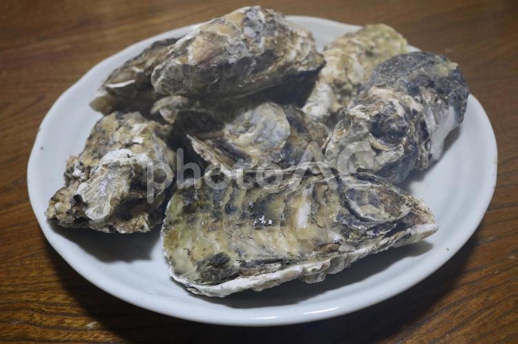 牡蠣 食べ物,和食,魚介類の写真素材
