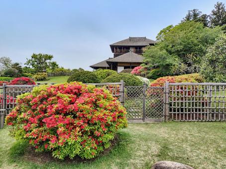 偕楽園の好文亭を東側から眺める 偕楽園の好文亭を東側から眺める 偕楽園,好文亭,躑躅の写真素材
