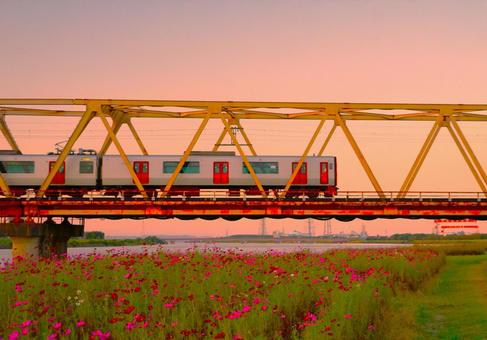 サンセットのローカル列車 サンセットのローカル列車 夕焼け,川,コスモスの写真素材