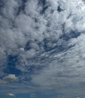 青空とひつじ雲の写真