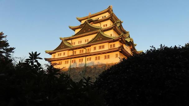 名古屋城　天守　大天守　夕映え 名古屋城,尾張徳川家,御三家の写真素材