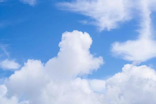 夏の空 夏の空 雲,青空,晴れの写真素材