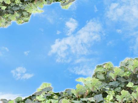 アイビーと空のフレーム 背景素材,植物,緑の写真素材