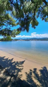 夏の小戸公園 今津湾 夏の小戸公園 今津湾 の写真