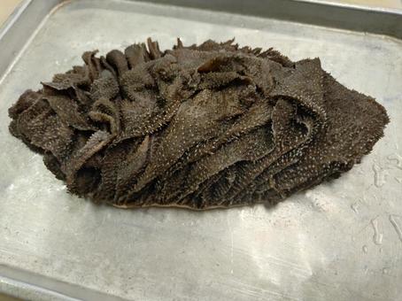 センマイの塊肉 センマイの塊肉 焼肉,ホルモン,内臓の写真素材