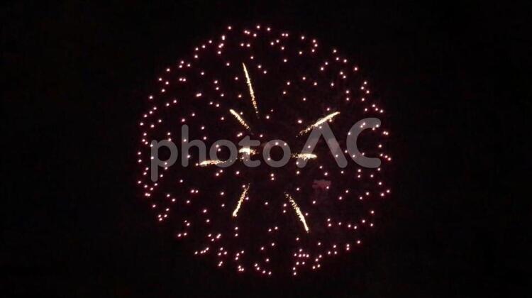 アサガオのような花火 花火,打ち上げ花火,アサガオの写真素材