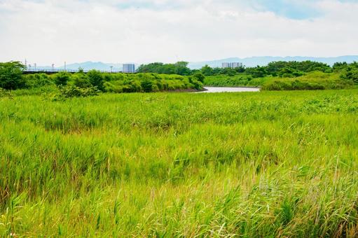 沿岸部の風景 沿岸部の風景の写真
