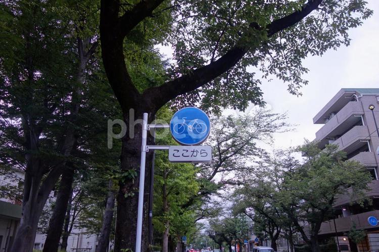 自転車道標識 自転車道,ここから,自転車の写真素材