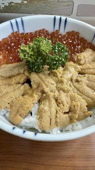ウニいくら丼 北海道,ウニ,イクラの写真素材
