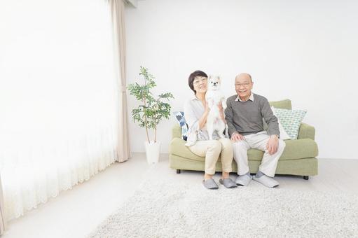 犬を飼うシニア夫婦 犬を飼うシニア夫婦 夫婦,ハッピー,大型犬の写真素材