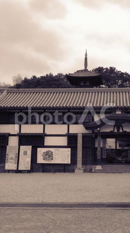 奈良県-當麻寺-中之坊山門と国宝東塔 當麻寺,寺,二上山の写真素材