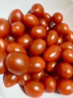 Photo, petit tomatoes, mini tomato, aiko, 