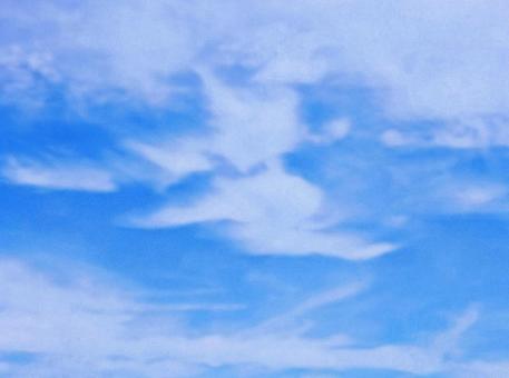 【空の写真】夏空 【空の写真】夏空の写真