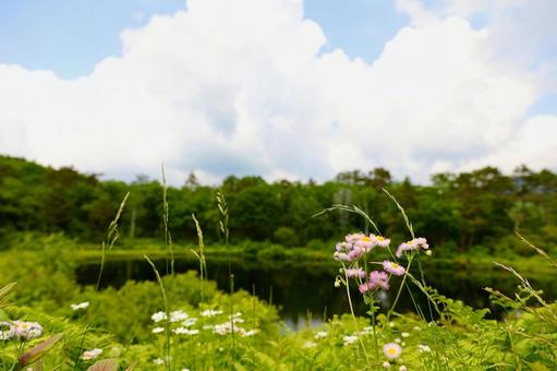 志賀高原　一沼1 志賀高原,一沼,空の写真素材