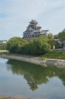岡山城 岡山城,城,天守閣の写真素材