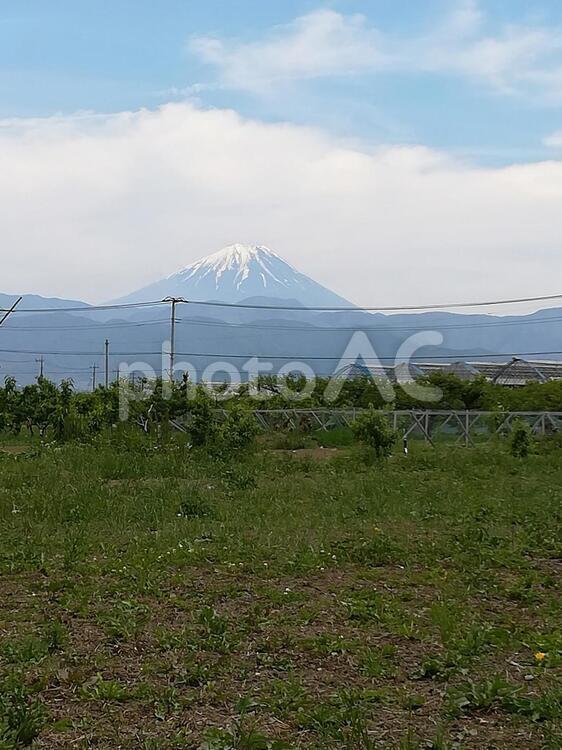 農園から見える富士山　山梨県 富士山,風景,旅の写真素材