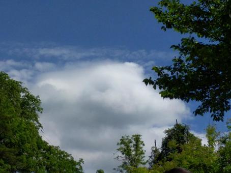 雲 雲の写真