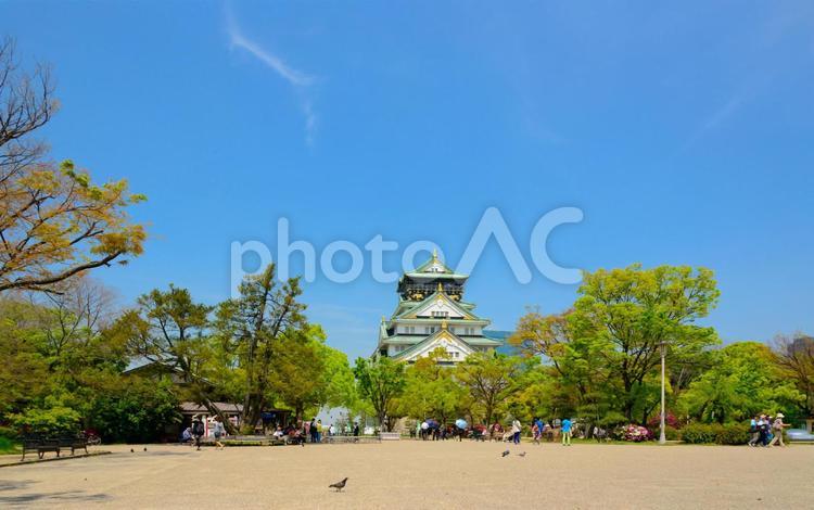 大阪城公園の景観 大阪市,大阪城公園,城の写真素材