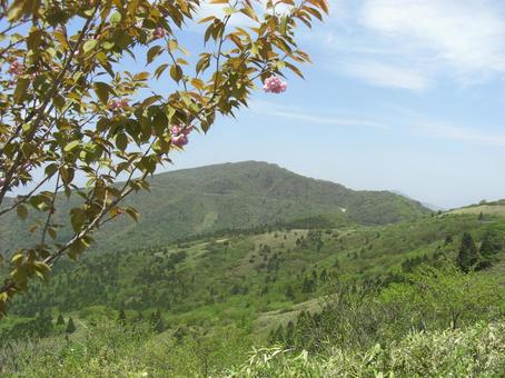 山伏峠の景色-22 山伏峠の景色-22 山伏峠,展望台,頂上の写真素材