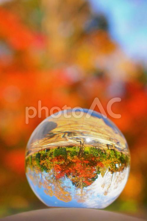 ガラスボールの中の紅葉のある風景 ガラスボール,紅葉,青空の写真素材