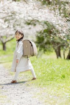 振り返る可愛い新一年生 振り返る可愛い新一年生 新一年生,一年生,振り返るの写真素材