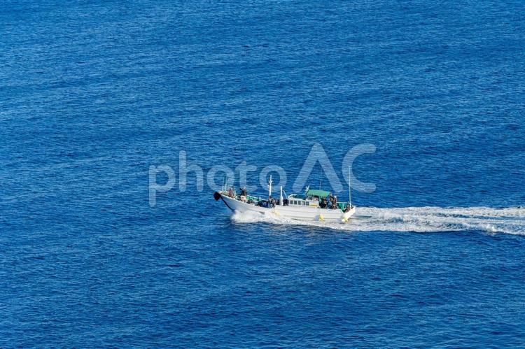 青い海を疾走する漁船 漁船,船,海の写真素材