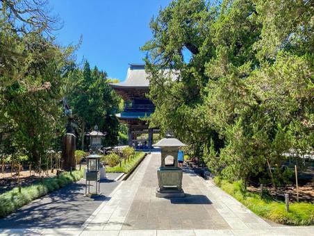 建長寺　参道 鎌倉,建長寺,北鎌倉の写真素材