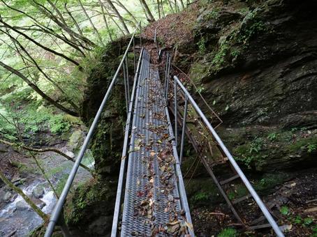 笊ヶ岳 登山道 傾いた橋 笊ヶ岳 登山道 傾いた橋の写真
