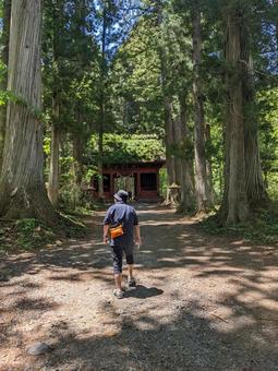 戸隠神社の参道を歩く人 戸隠神社の参道を歩く人 戸隠神社,長野,信州の写真素材