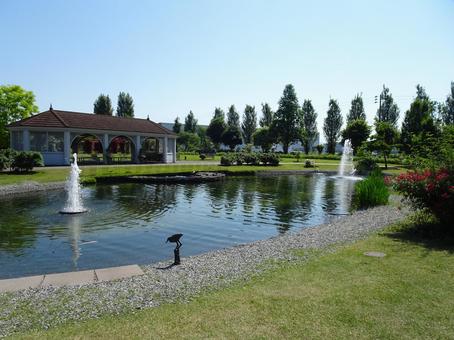 植物園の写真